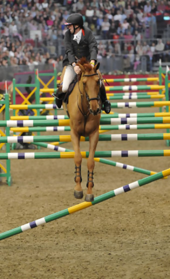 CSI5*-W OLYMPIA LONDON (17-21/12/2007)
